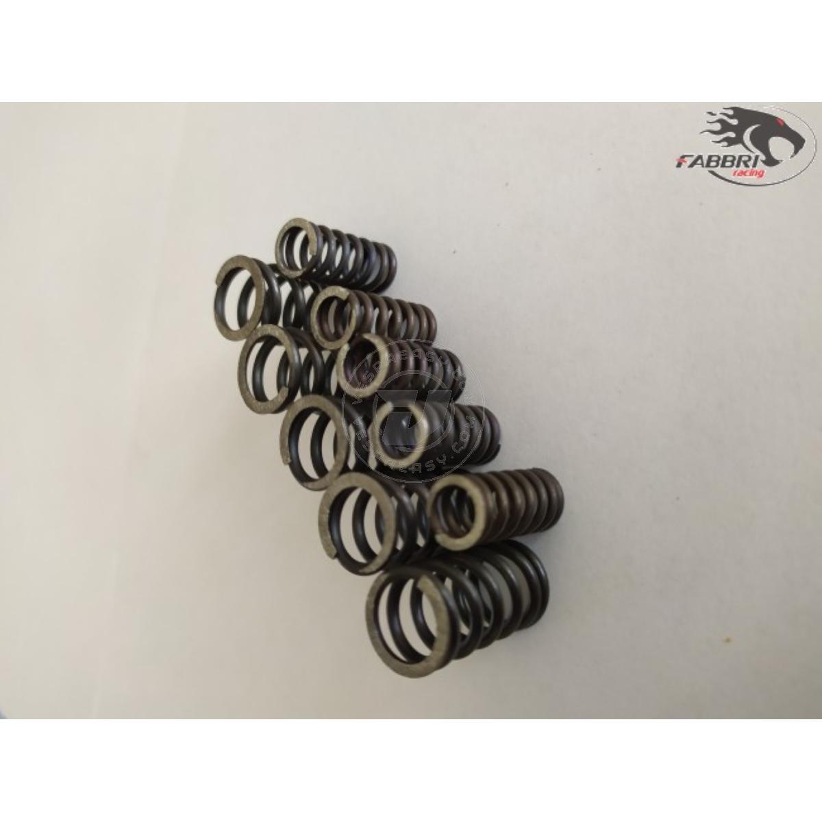 Kit molle frizione Fabbri racing FB24
