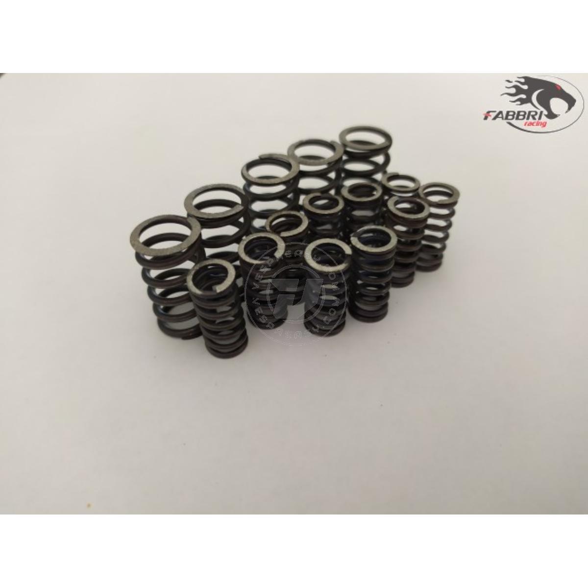 Kit molle frizione Fabbri racing FB24 EVO