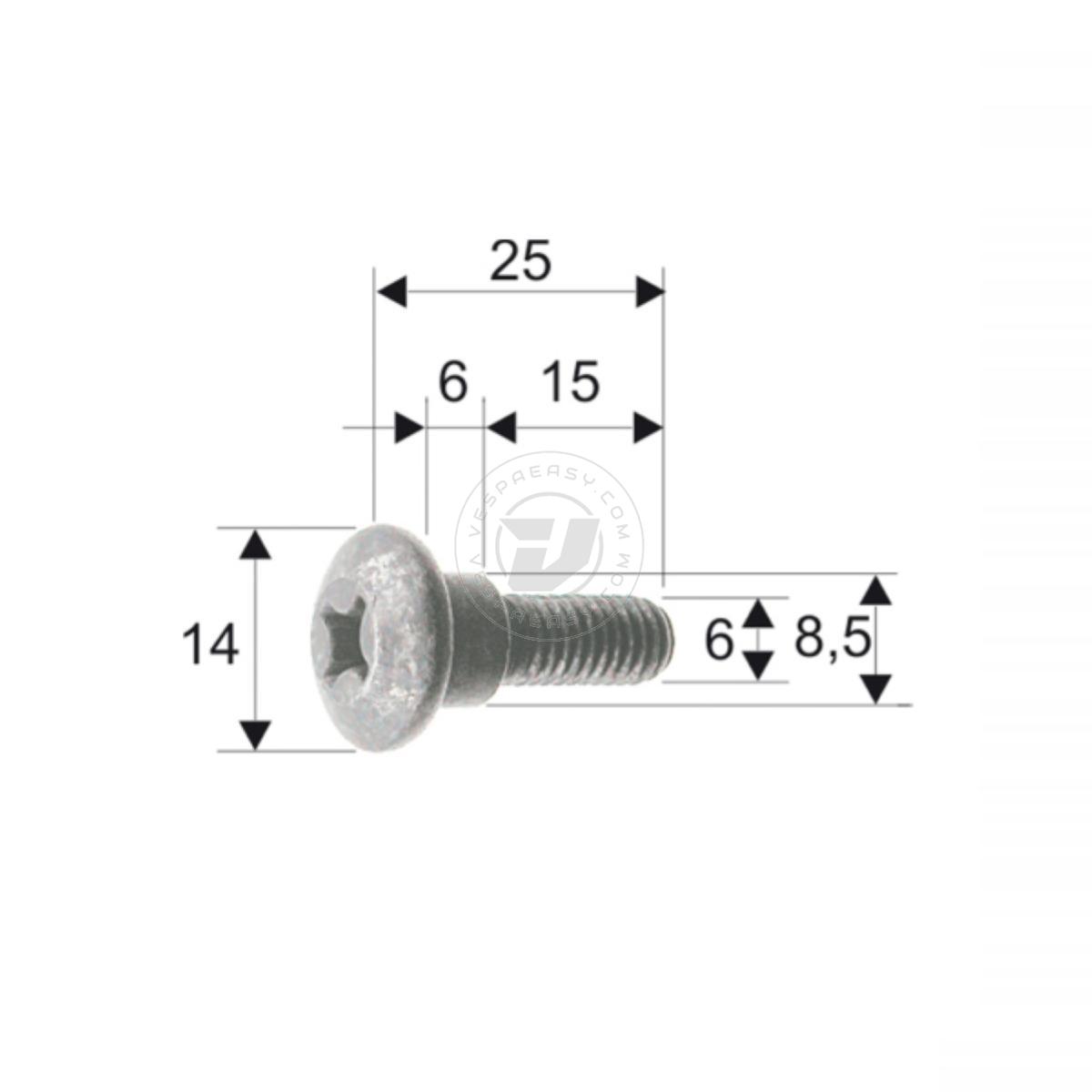 VITE CARROZZERIA RMS CLASSIC PIAGGIO/GILERA 298086/575249