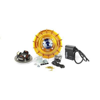 Accensione PINASCO FLYTECH TOURING Vespa Smallframe cono 20, volano kg 1.6